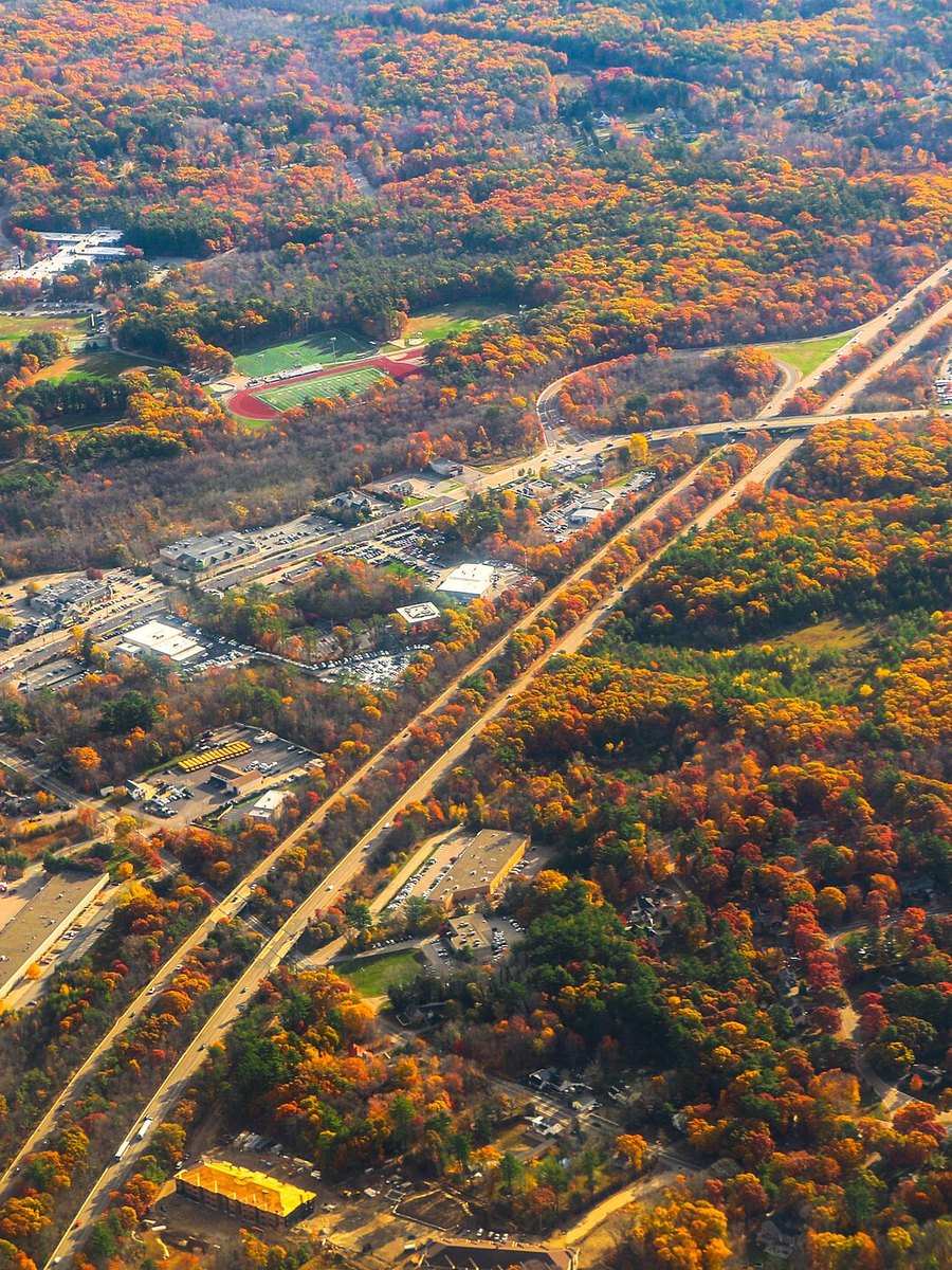 Overhead view of colorful treetops